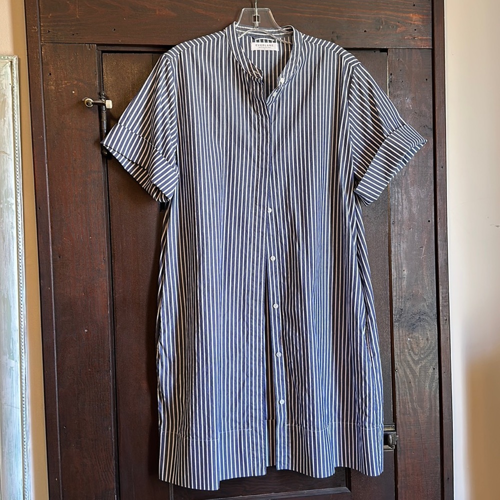 Everlane Button Dress with Tie Belt